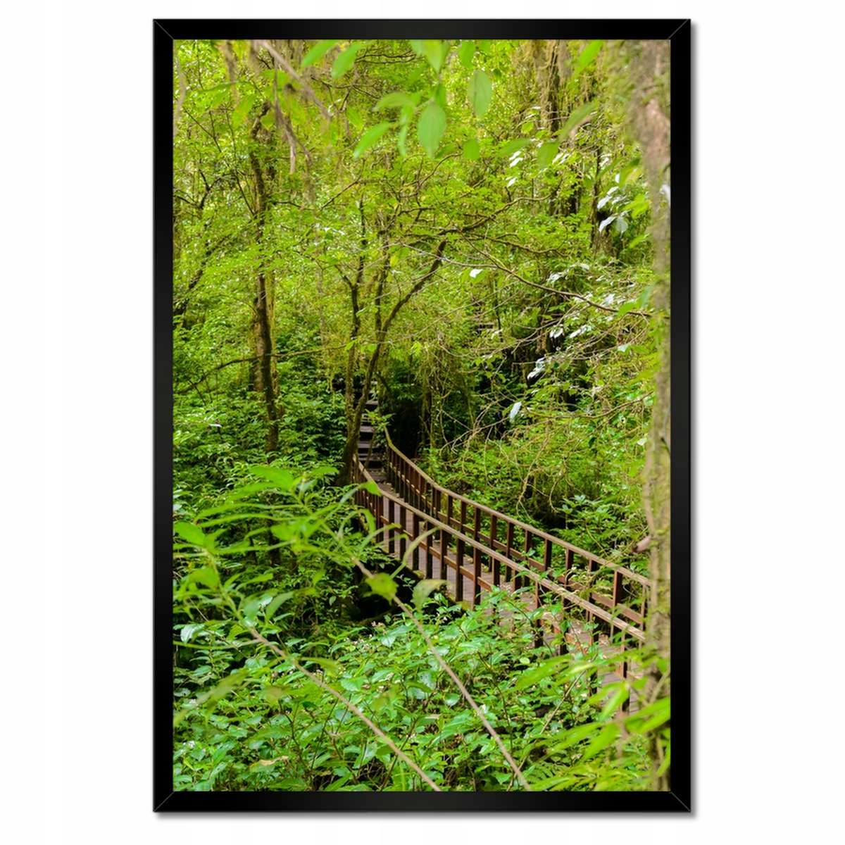 Plakáty v rámu 40x60 Park krajiny