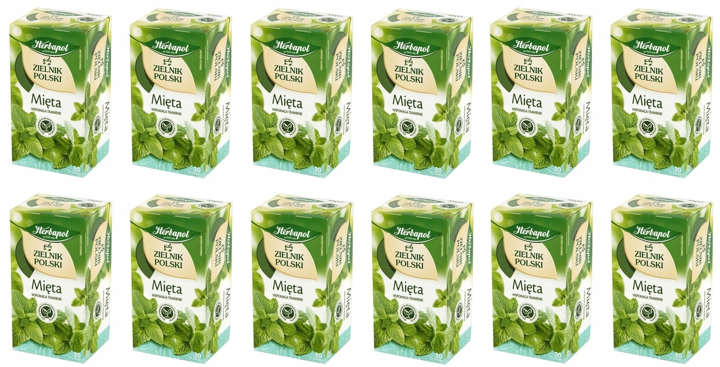 12x 40g Herbapol Zielnik Polski mięta Karton