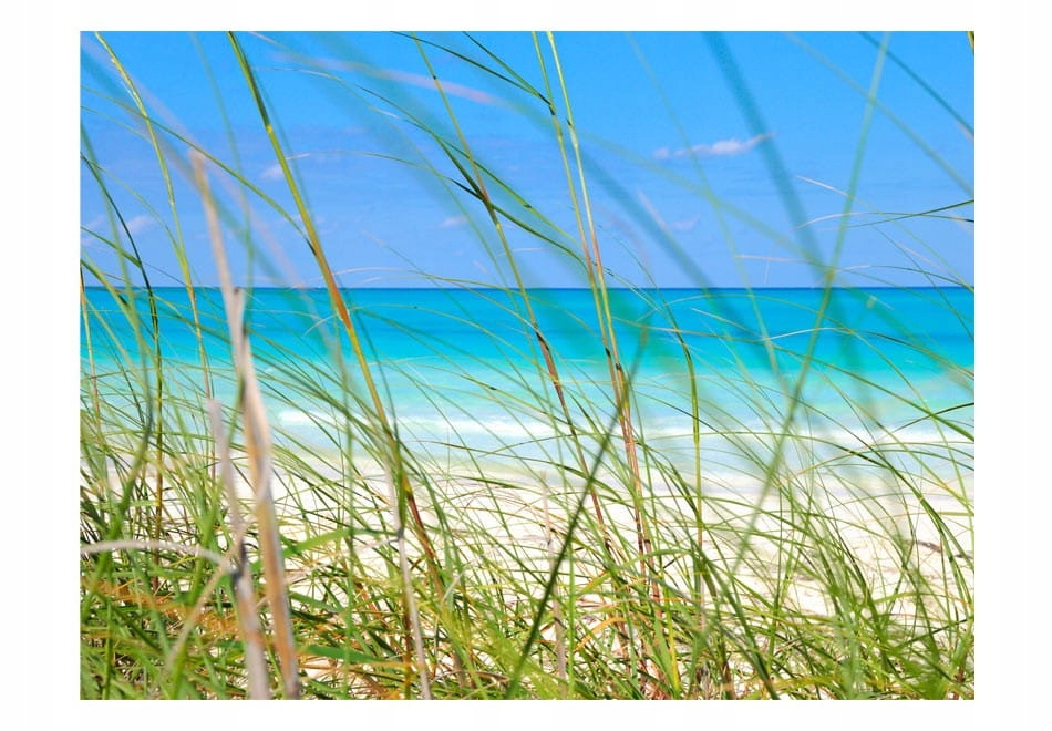 

Fototapeta - Tropical journey - 300X231