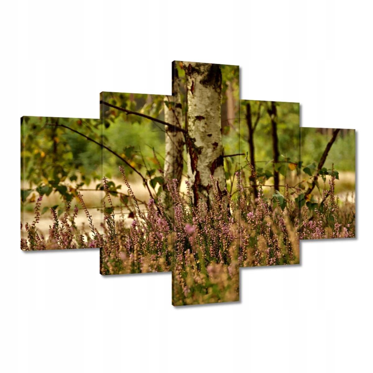 Obrazy 100x70 Bříza mezi vřesy Les