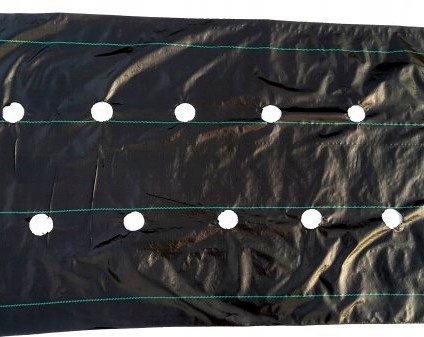 agrotextília Otvory pod Jahody Uhorky paradajky 1,1 x 100 m na burinu s Uv žiarením