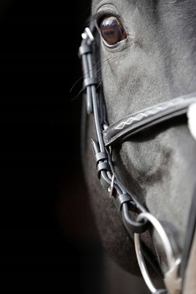 OGŁOWIE DLA KONIA CANCUM CZARNY FULL COVALLIERO Kod producenta 3297734/7524