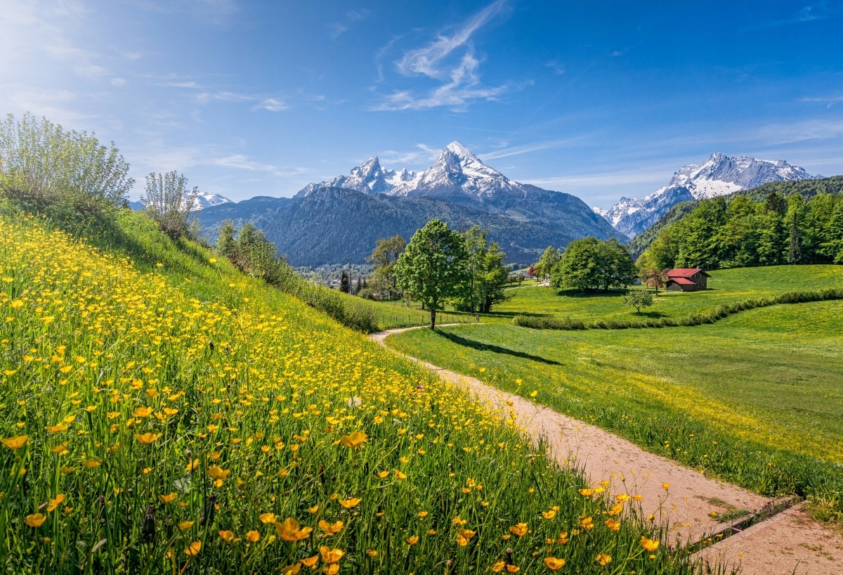 

Fototapeta Flizelinowa Idylliczne Alpy - 104x70