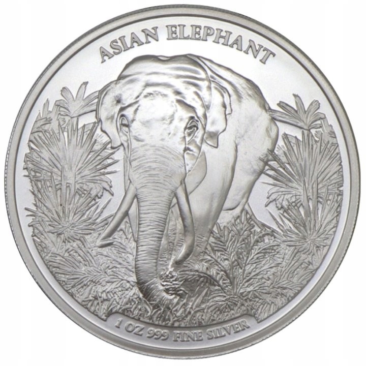 

Srebrna Moneta Asia Big Five: Elephant 2023, 1 oz