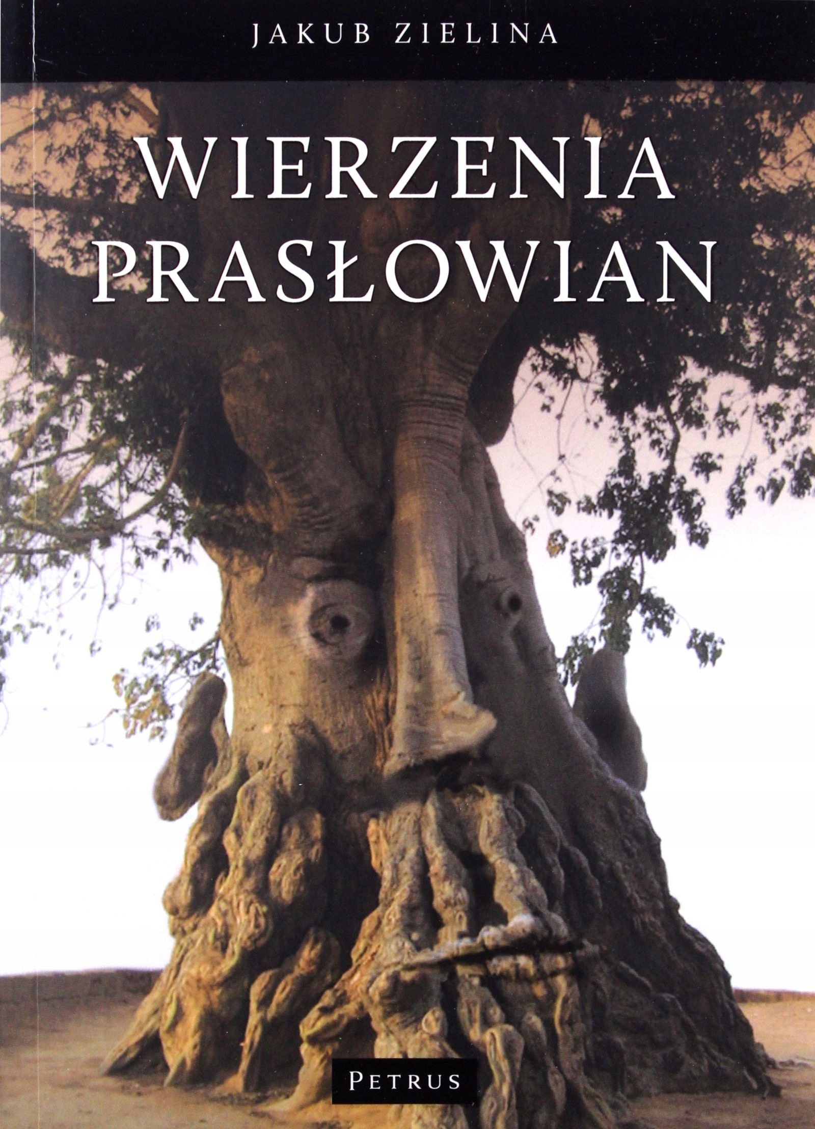 WIERZENIA PRASŁOWIAN [KSIĄŻKA]