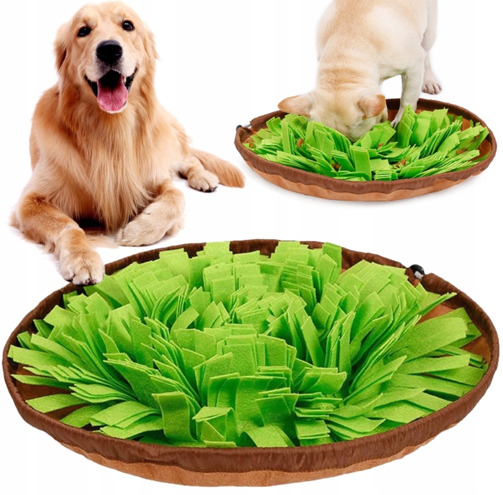 Zwierzopasja – univerzální trénink