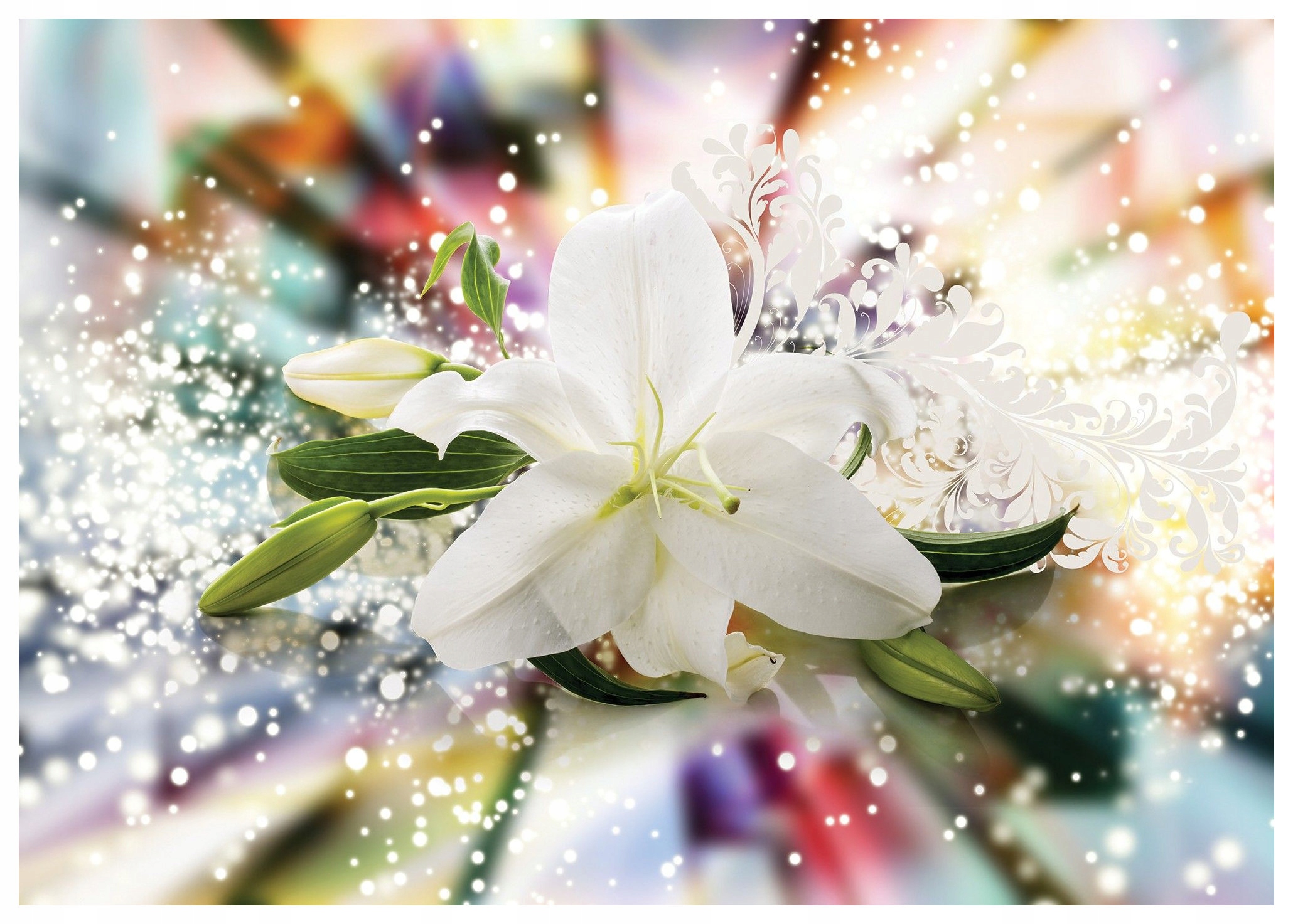 Fototapeta Lilie Elegancia a lesk vinylová 368x254 lepidlo