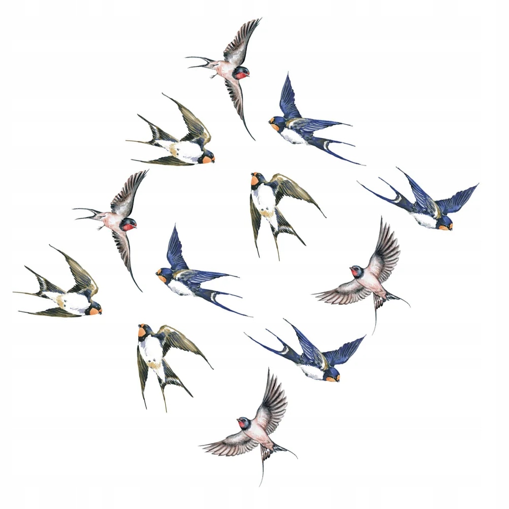 Birds Collision Warning Window Stickers 12 pcs