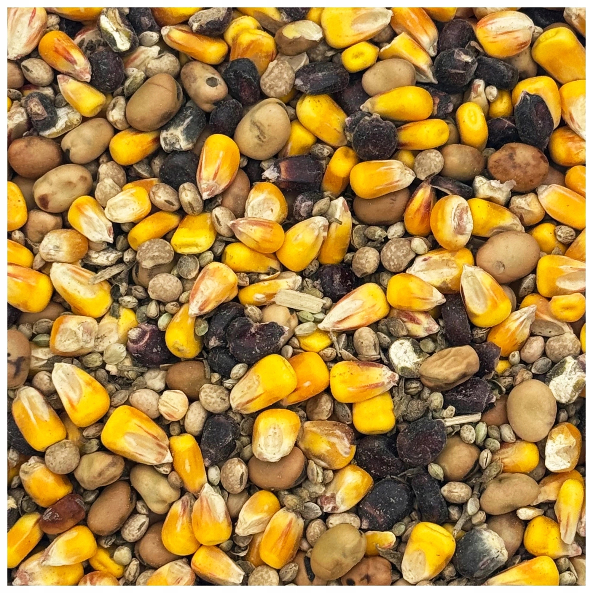Kukurydza bobik łubin konopie MIX Ziaren Wędkarskich zanęta ziarno 4,5kg