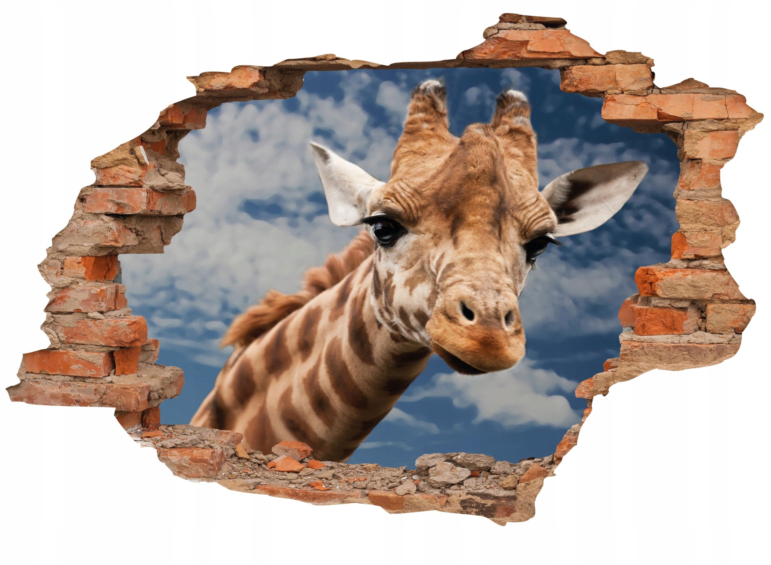 

Naklejki 3D fototapeta Cegła Z Widokiem 160 x 110