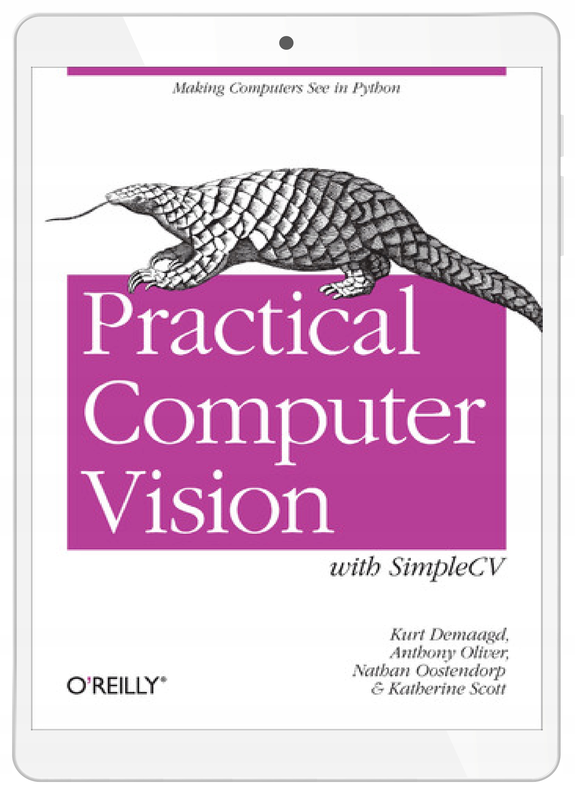 Practical Computer Vision with SimpleCV. The