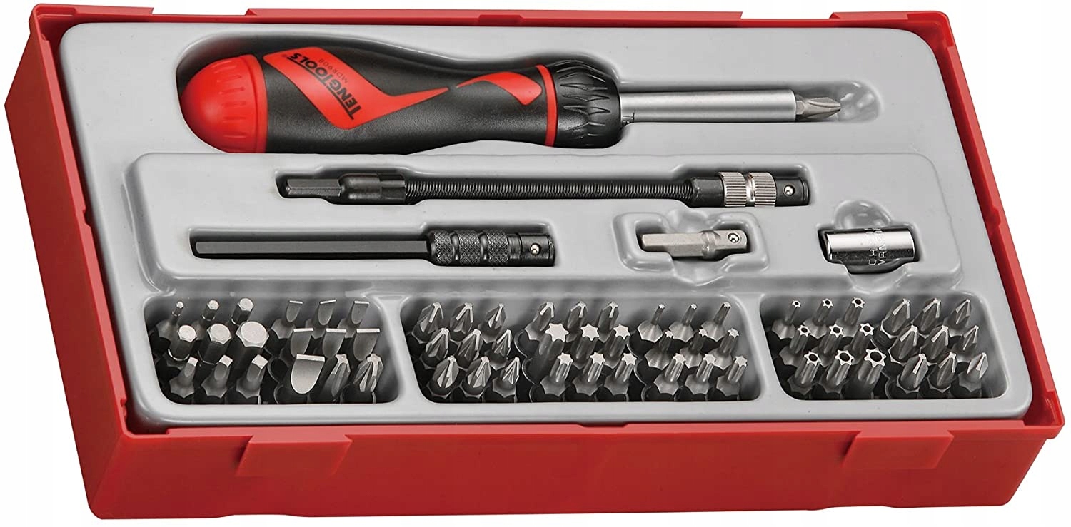 TENG TOOLS SET OF EXCHANGEABLE TIPS WITH A SCREWDRIVER