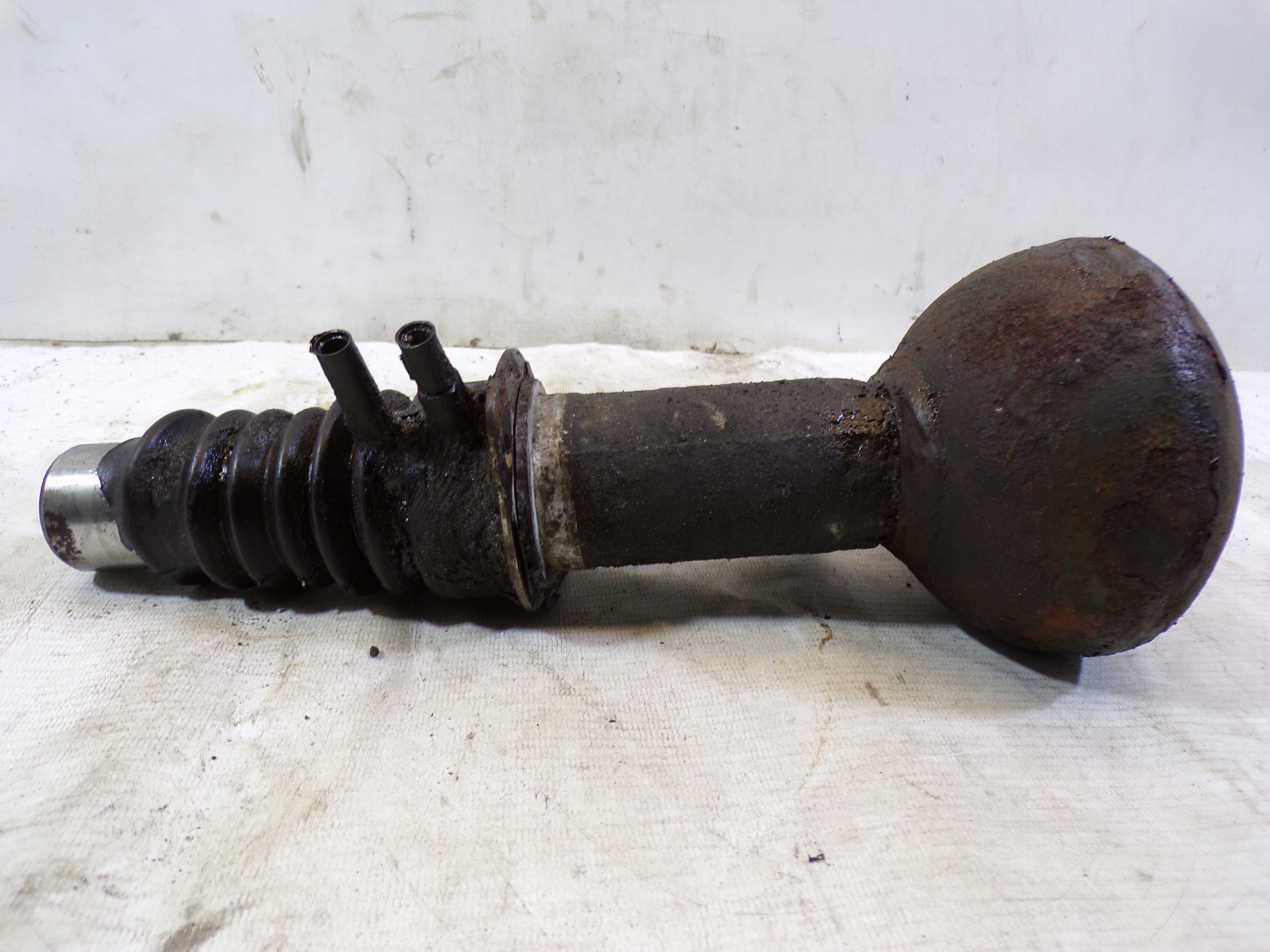 GRUSZKA springing SFERA CITROEN C5 3 III (1) (F)