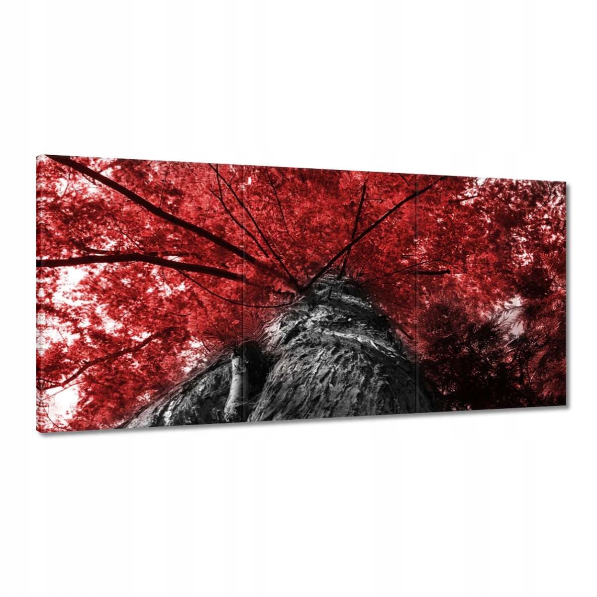 Obrazy 180x90 Sekvoja Vysoký strom