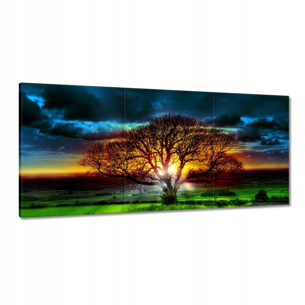 Obrazy 210x100 Strom života