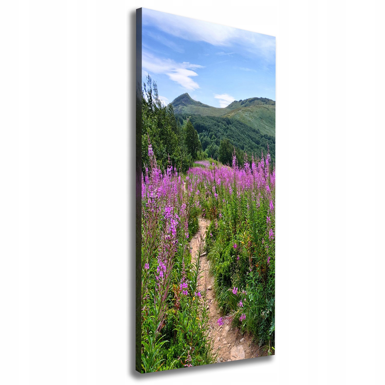 Fotoobraz obraz na plátně do obývacího pokoje Bieszczady 50x125