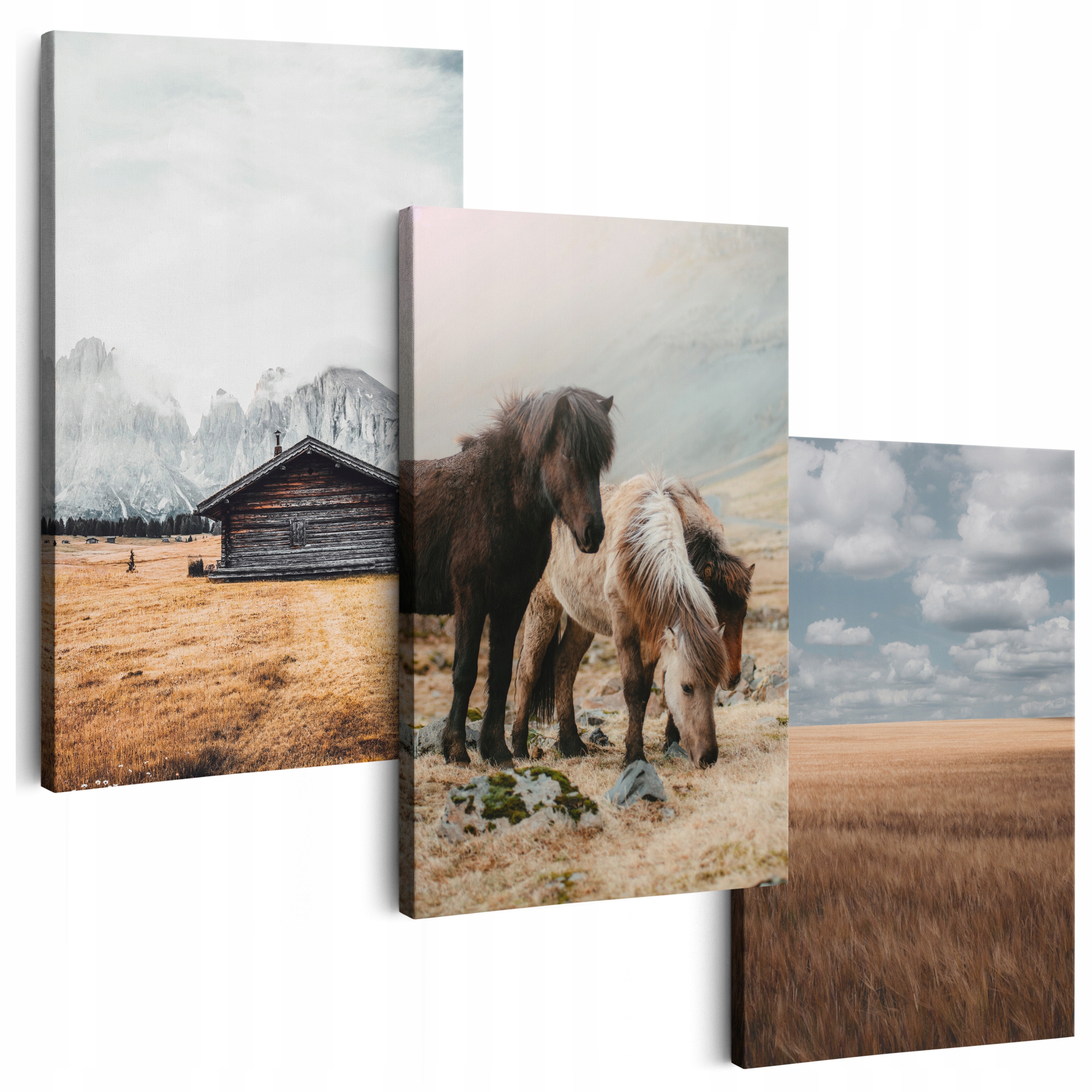 Obraz Na Plátne 180 cm **veľa vzorov** Obrazy Do Obývačky Na Stenu Kone