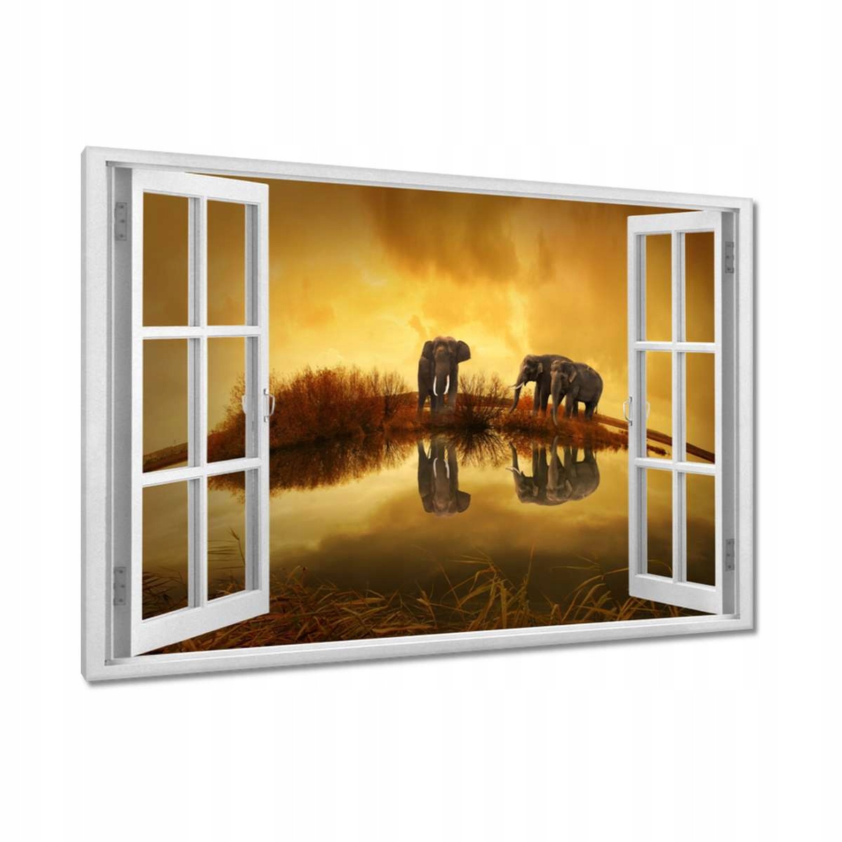 Obrazy 120x80 Sloni u vody
