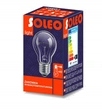 

Żarówka wysokotemperaturowa Soleo E27 100W 230V