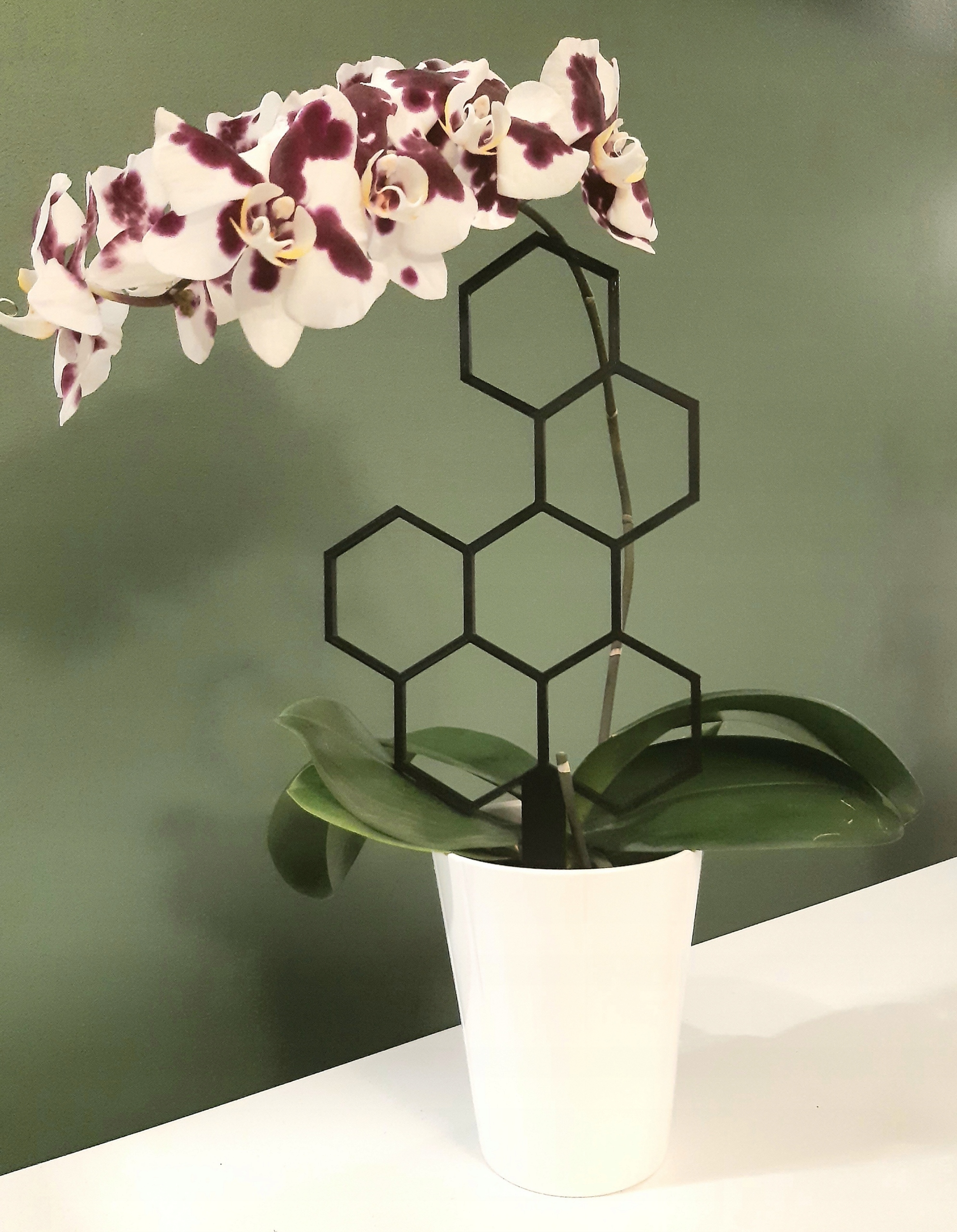 PODPÓRKA DRABINKA PERGOLA KWIATÓW ROŚLIN MIÓD Wysokość produktu 19.2 cm