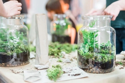 LAS W SŁOIKU SZKLE MIKROKLIMAT ZESTAW 13 SZT+ SŁÓJ DEKORACJA OZDOBA DOMOWA Marka bez marki