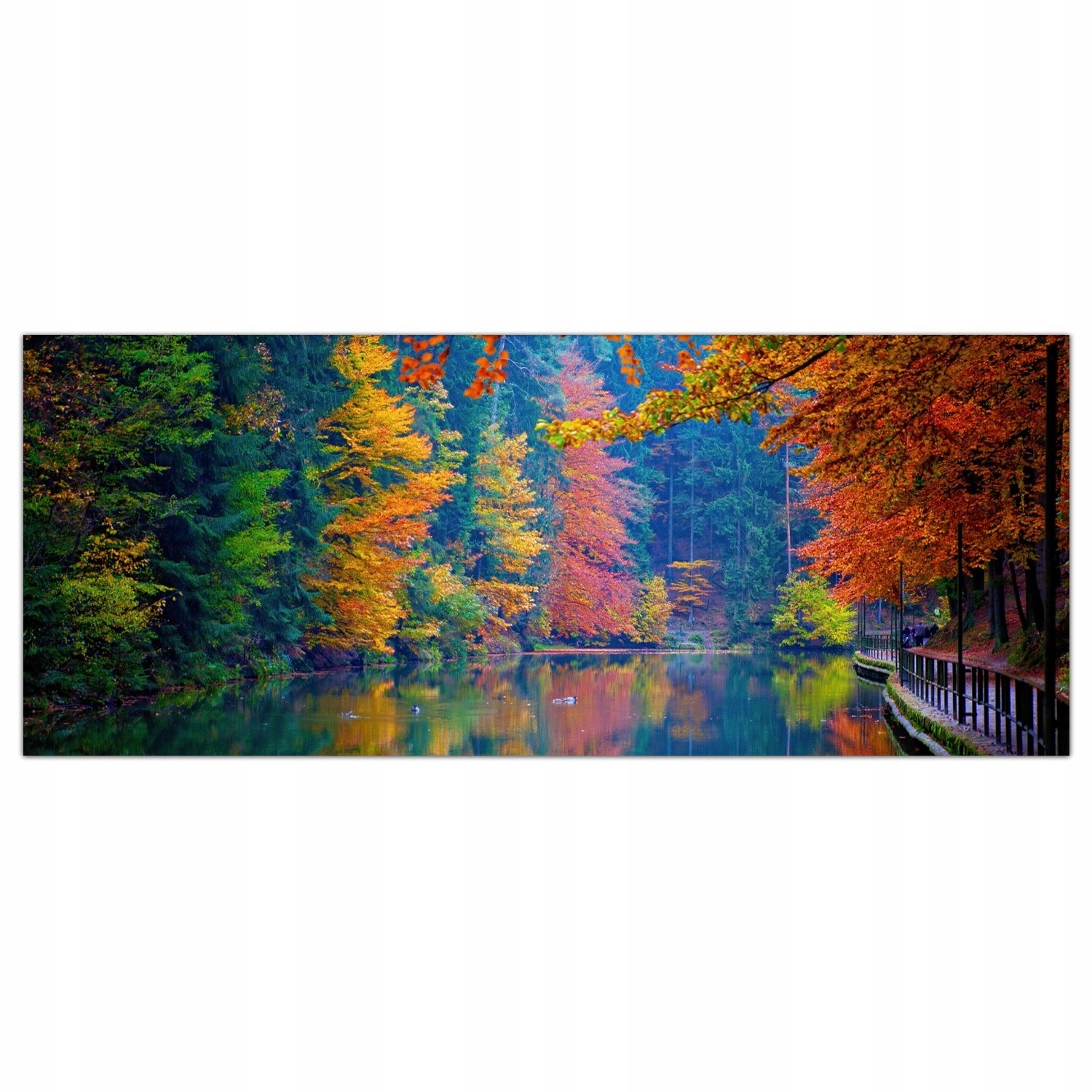 Podzimní les Natura 125x50 Laminovaný kuchyňský panel