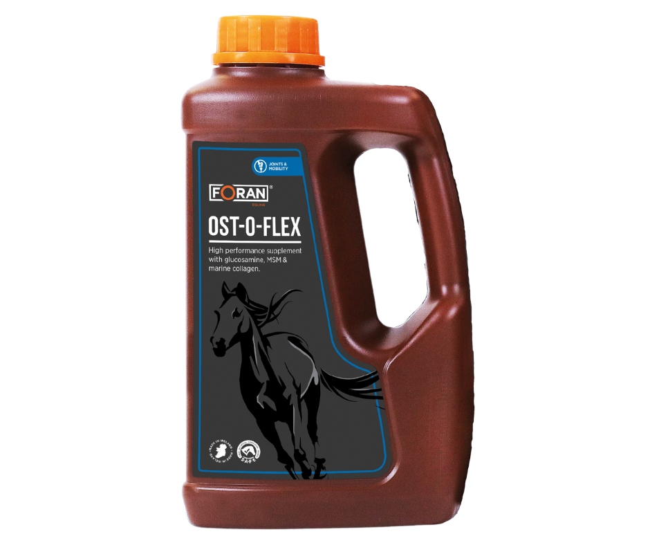 FORAN Ost-O-Flex syrop funkcjonowanie stawów 1L