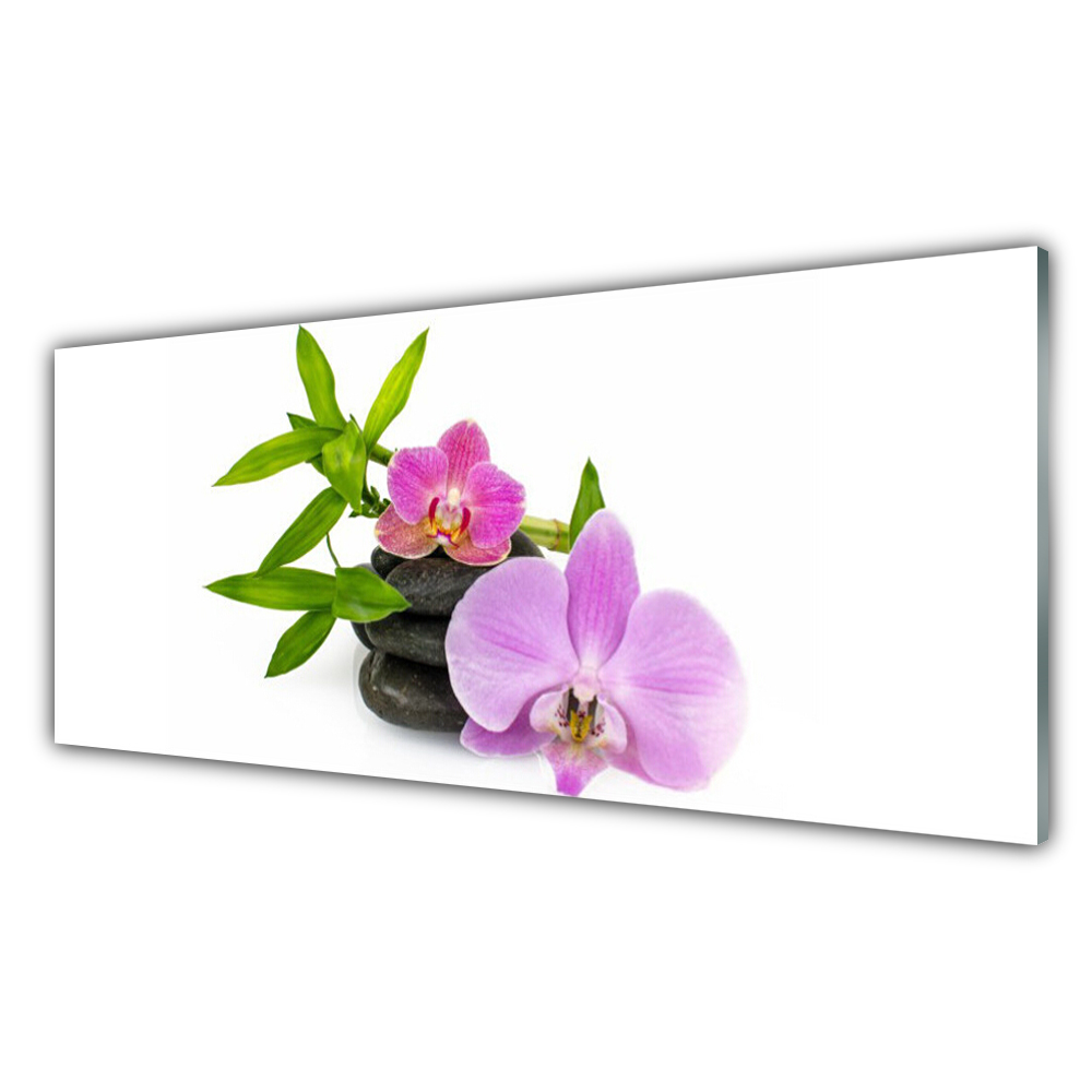 

Fotoobraz na ścianę 125x50 Kwiat Orchidea Roślina