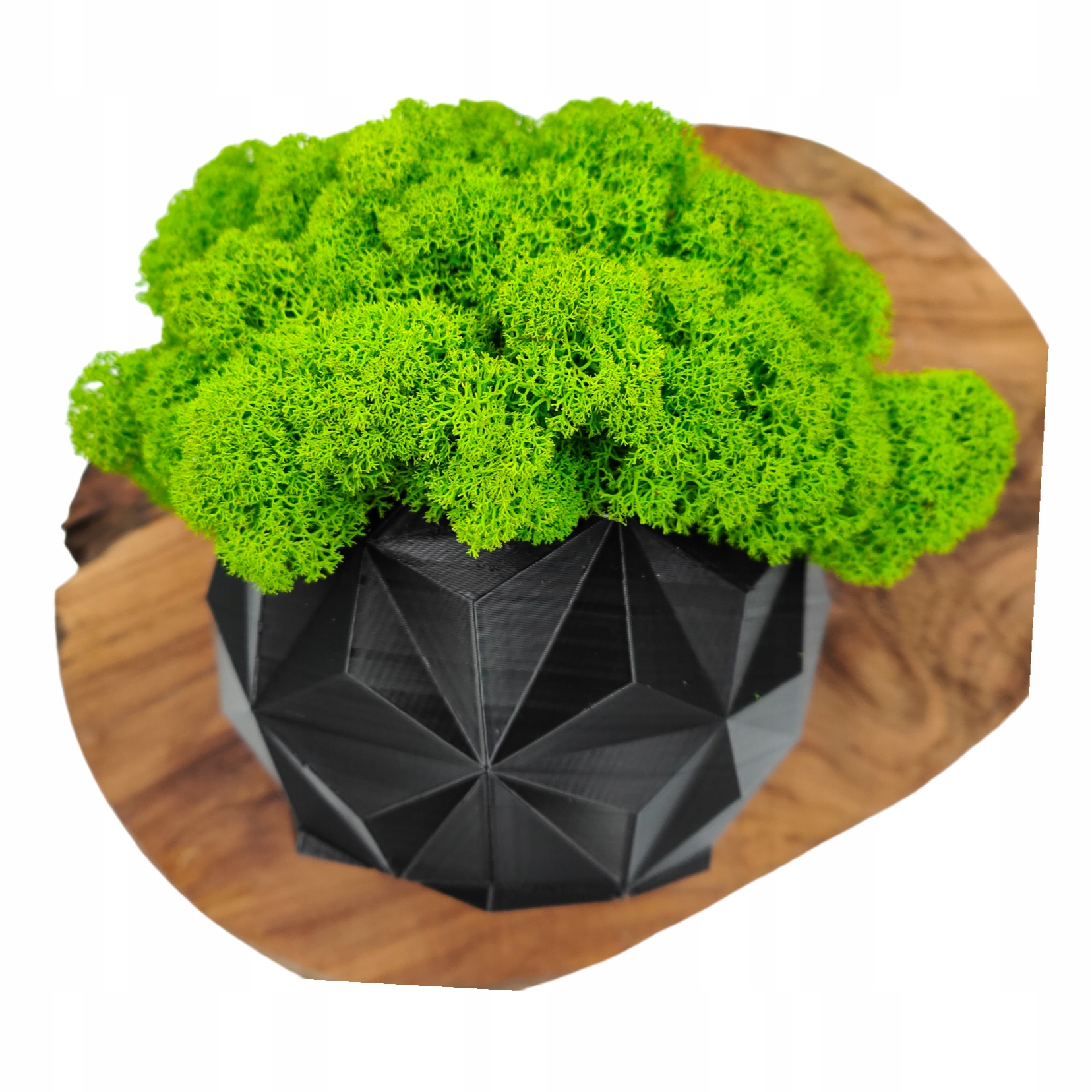 Doniczka z mchem chrobotkiem MECH CHROBOTEK w doniczce czarna druk 3d #2 Marka inna