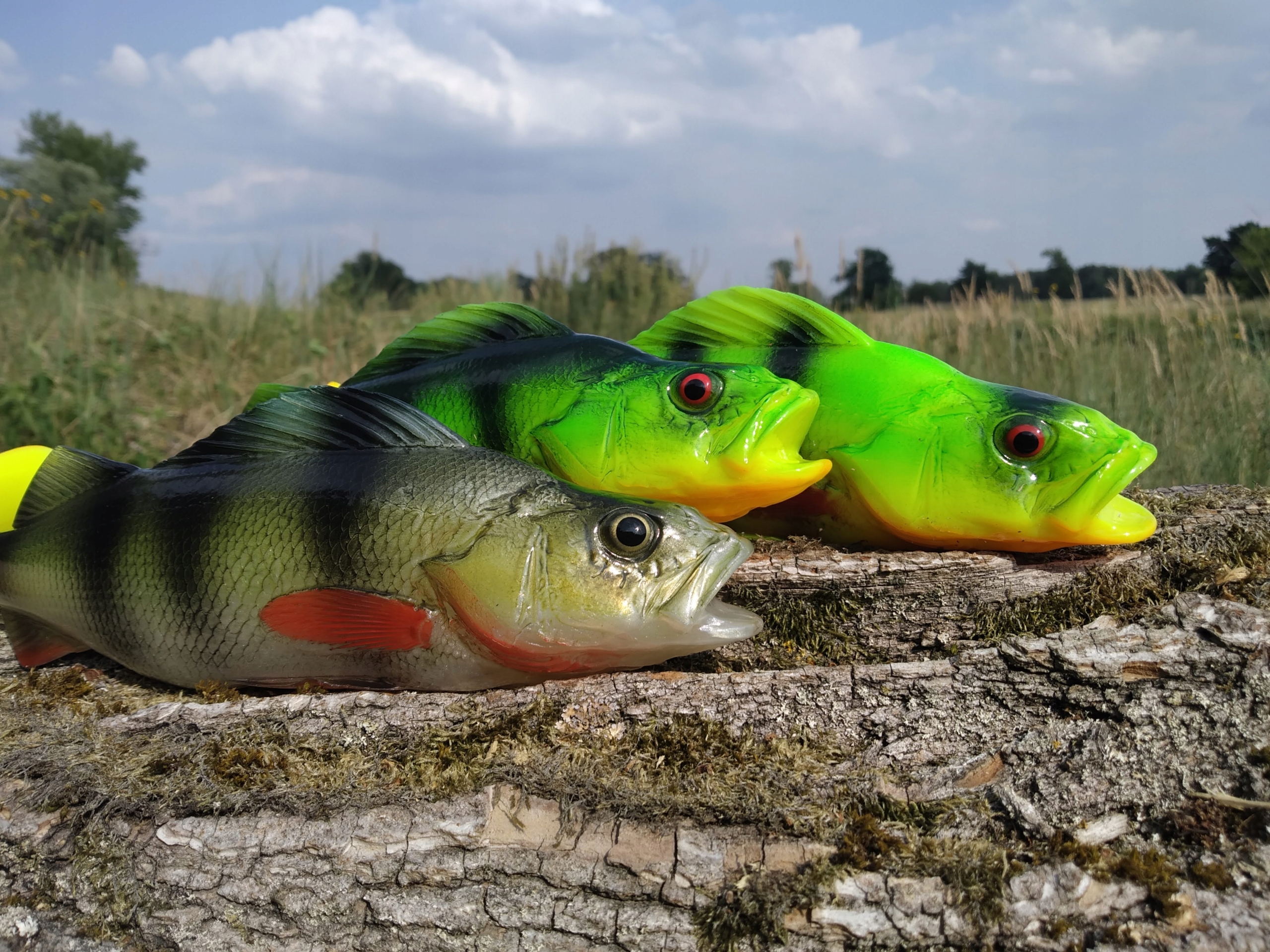 SEWRO CUSTOM OKOŃ FLUO 25 cm Rodzaj ripper