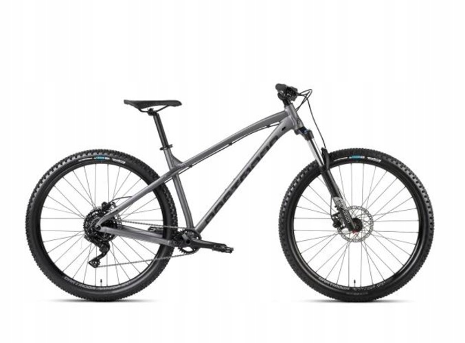 Rower Dartmoor Primal Intro koła 29", Grafit/Czarny mat, Large