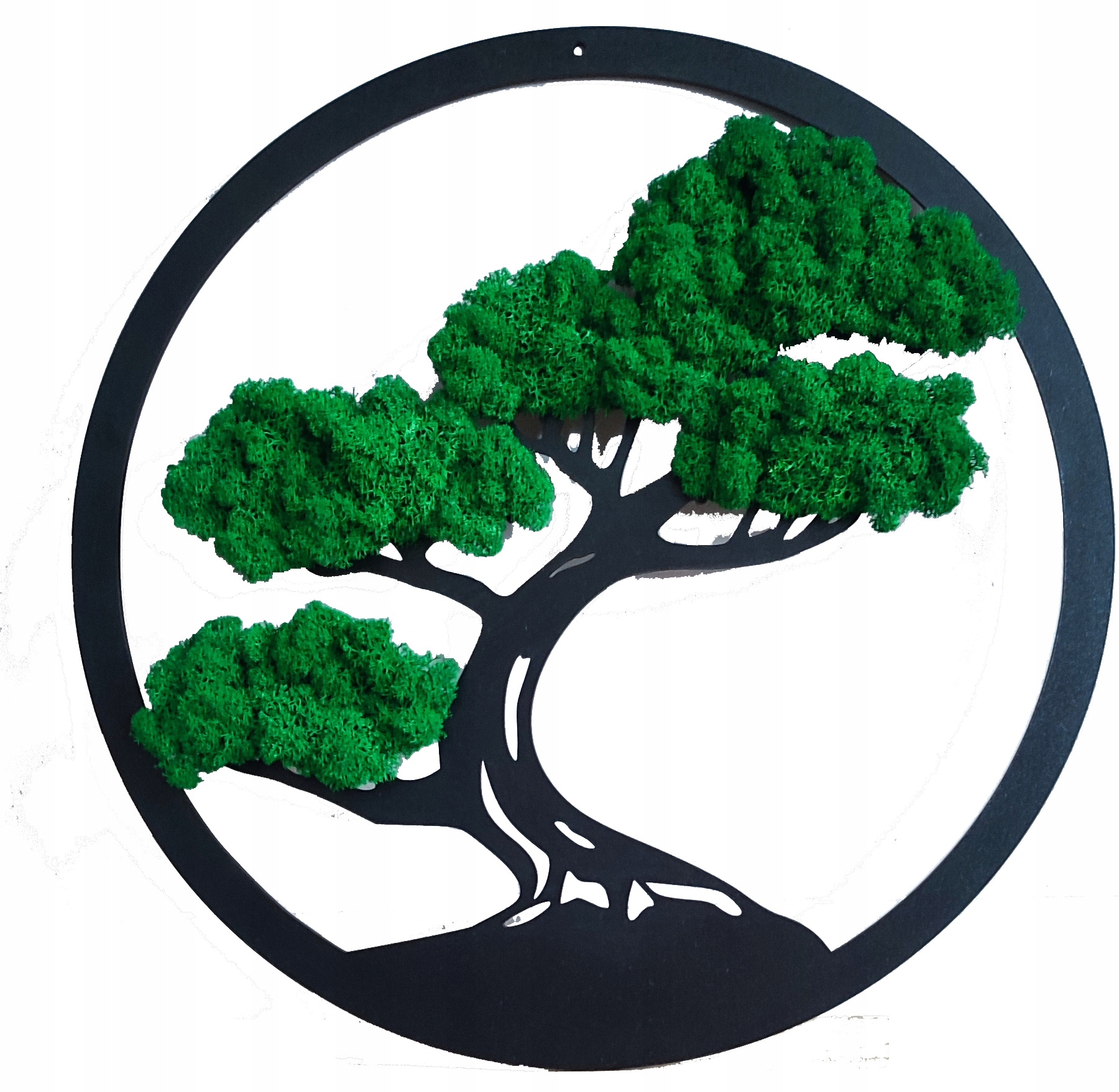 

Drzewo Bonsai z mchem chrobotkiem Premium, 30 cm