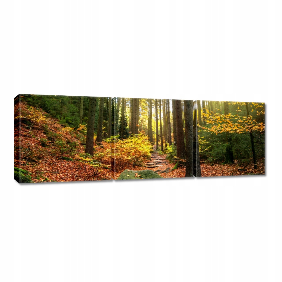 

Obrazy 60x20 Pejzaż Krajobraz