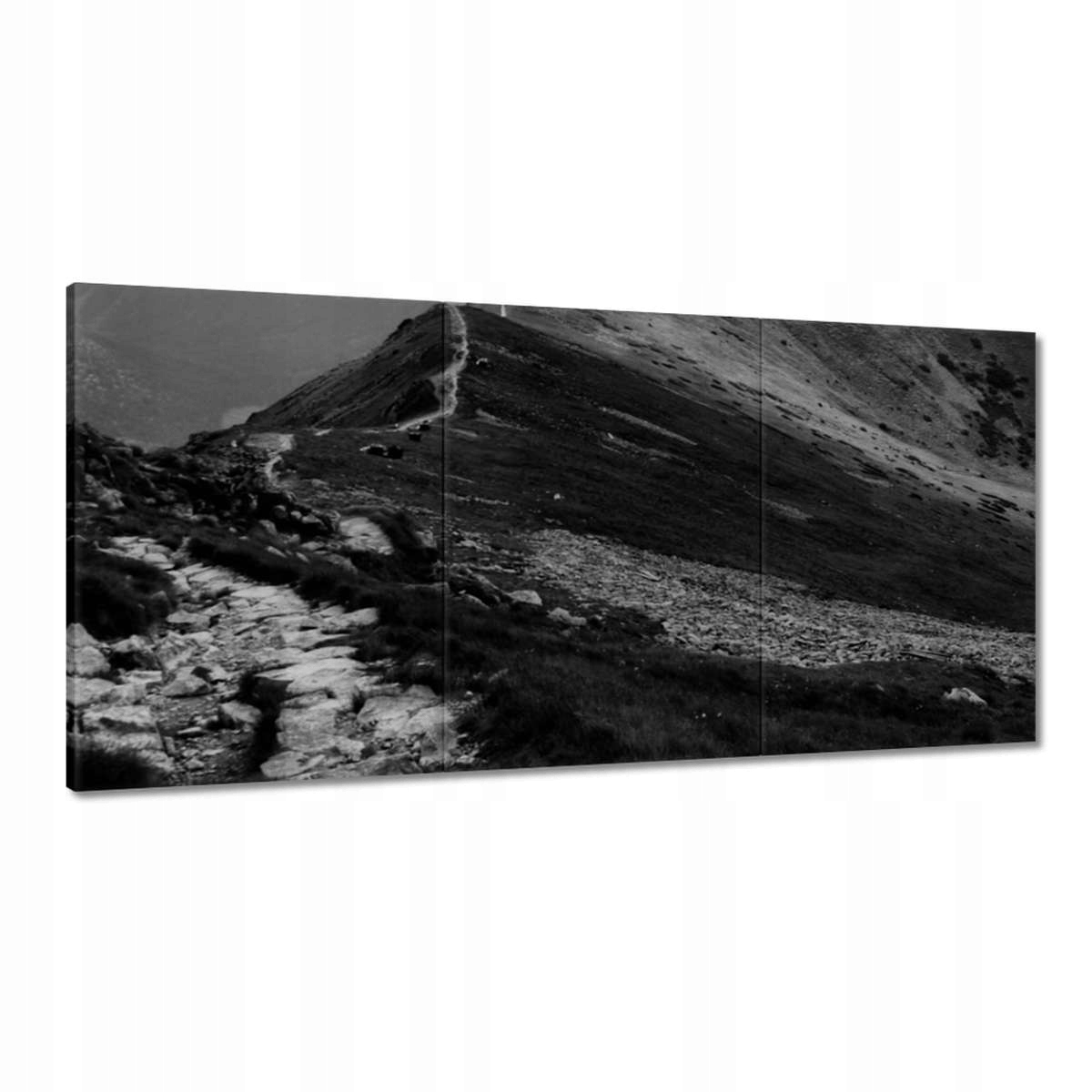 Obrazy 180x90 Tatry Poľské hory Pohľad