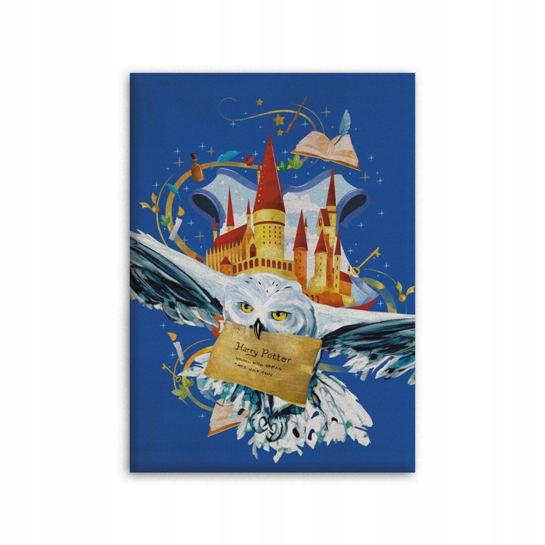 

Harry Potter 100X140 Kocyk Narzuta Pled Dziecka