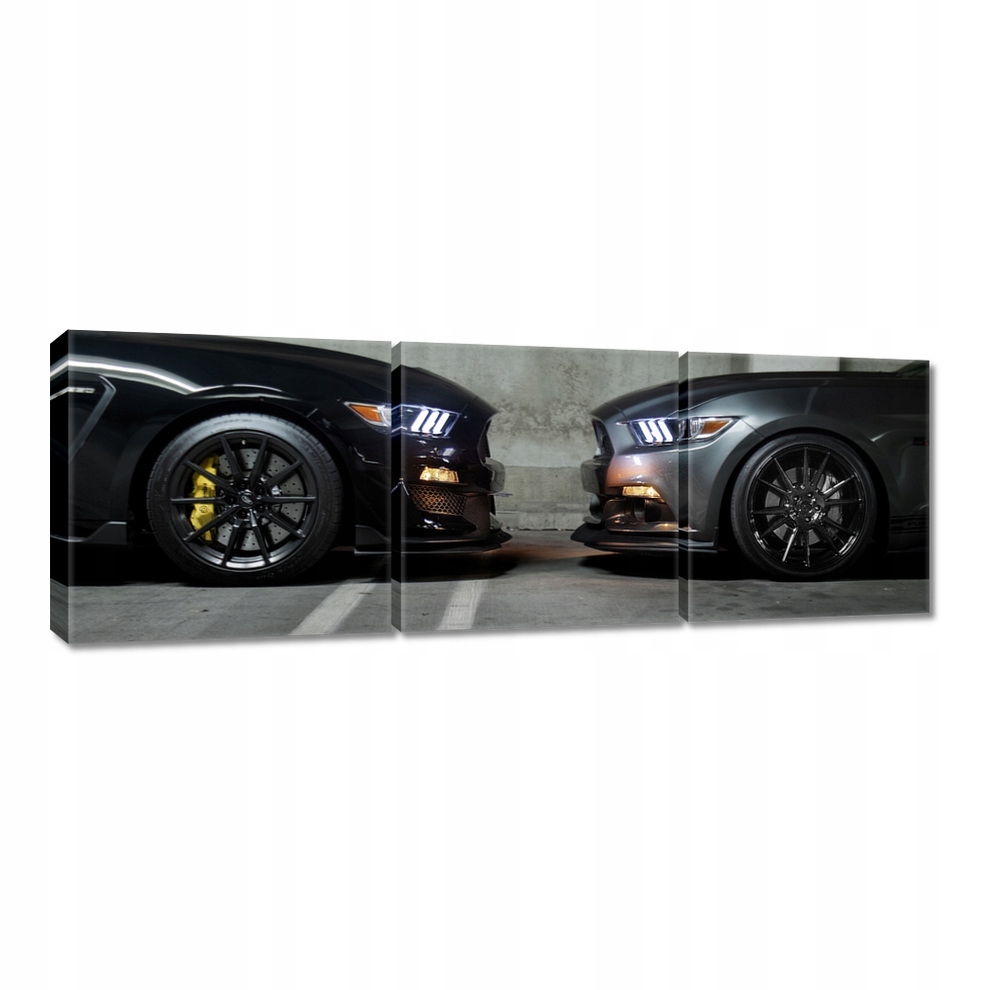 

Obraz 150x50 Ford Mustang Made in Usa