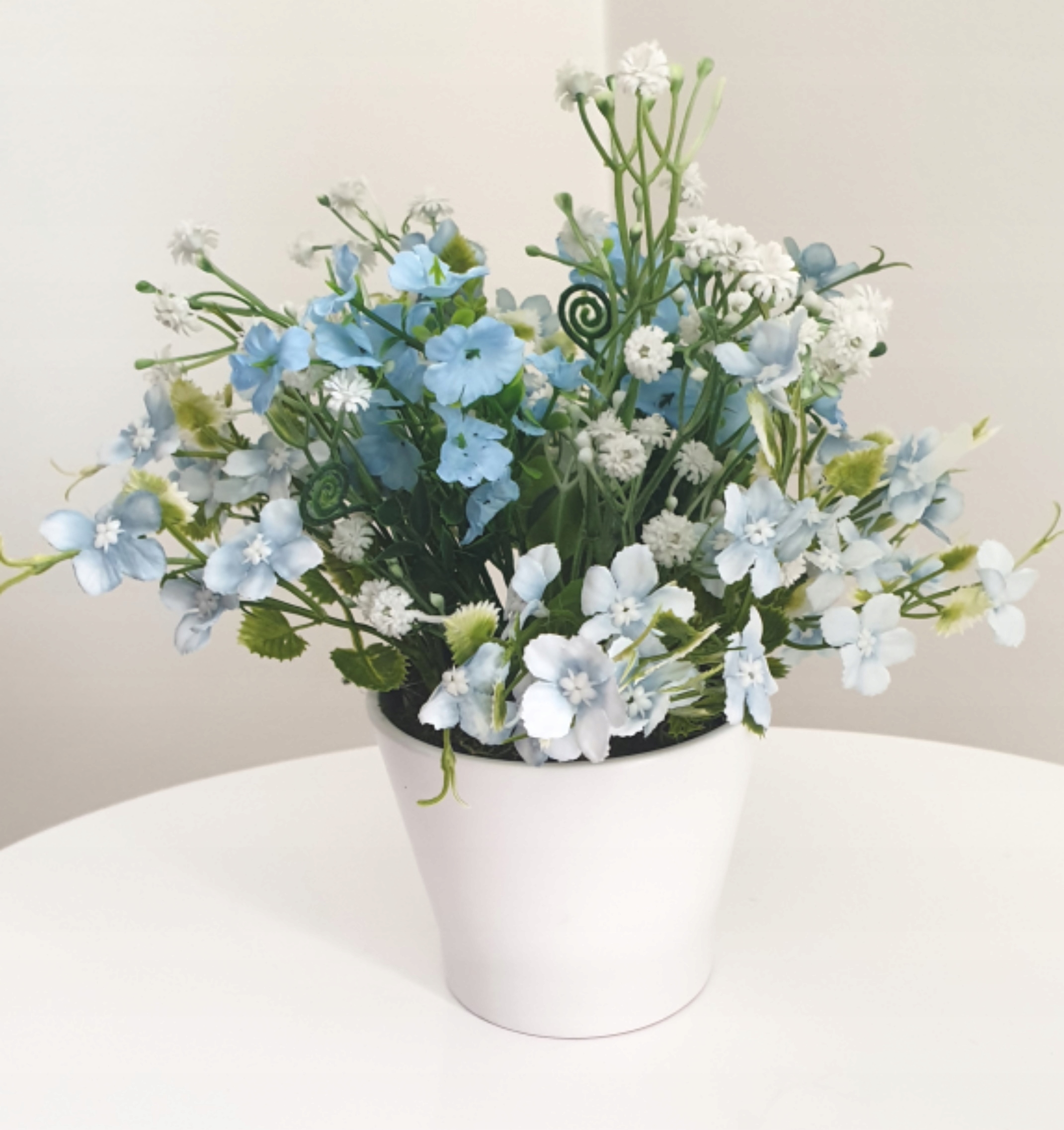 MACIEJKA KWIATY MACIEJKI W CERAMICZNEJ DONICZCE Kod producenta F101