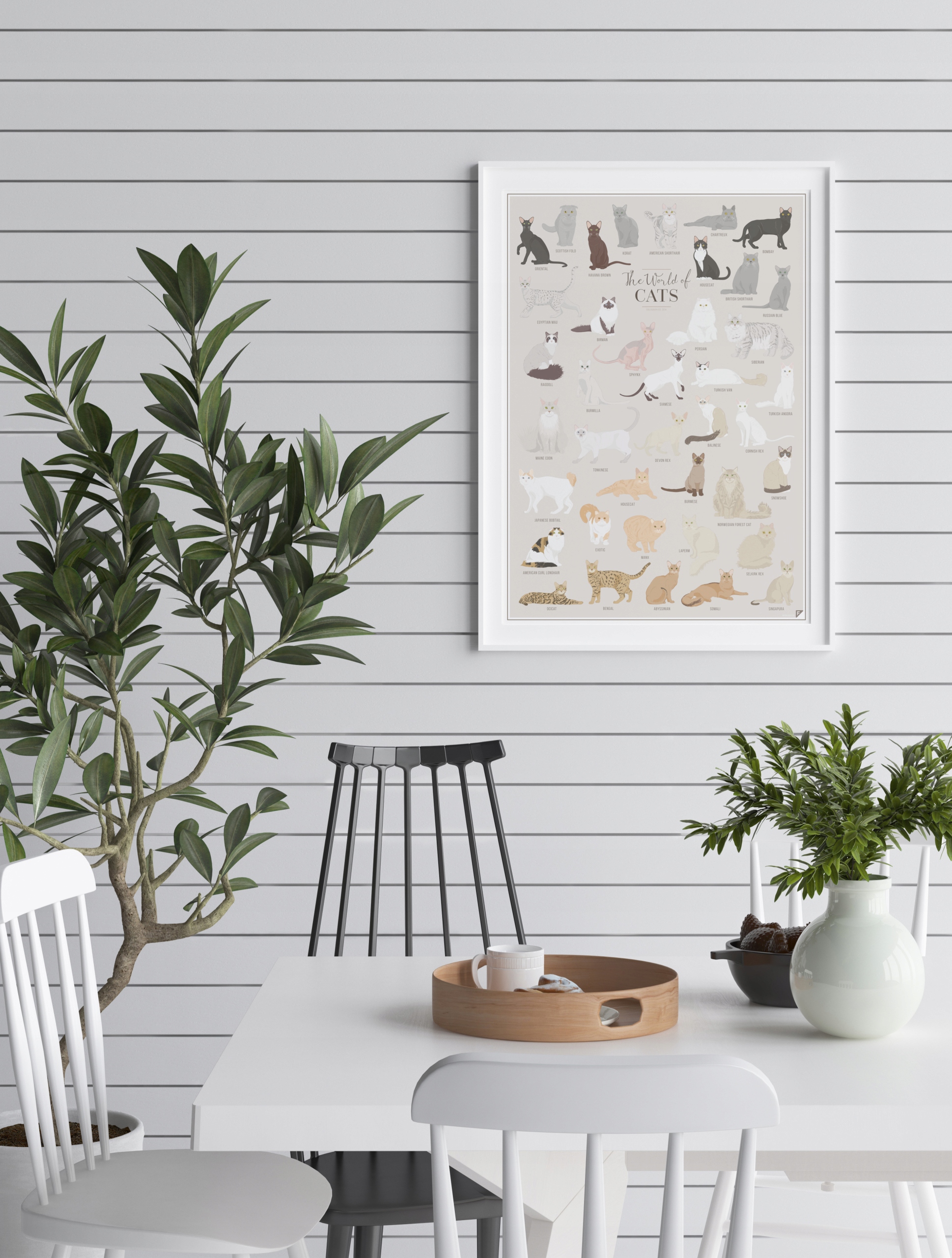 Plakat Koty Rasy - The World of Cats Marka inna