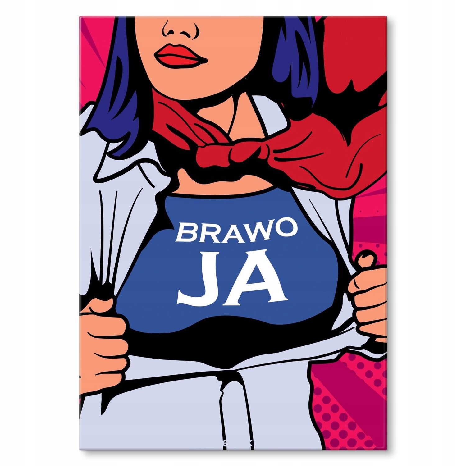 Kovový plakát Bravo já Dárek 22 x 31 cm