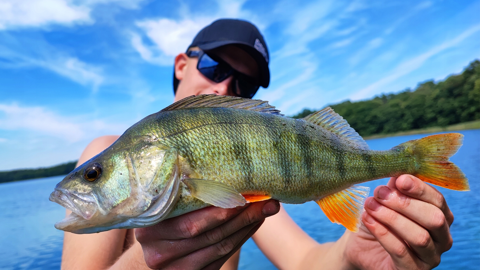 Perch Professor Fapping Craw 2' 5cm Mix 6 szt. Marka Perch Professor
