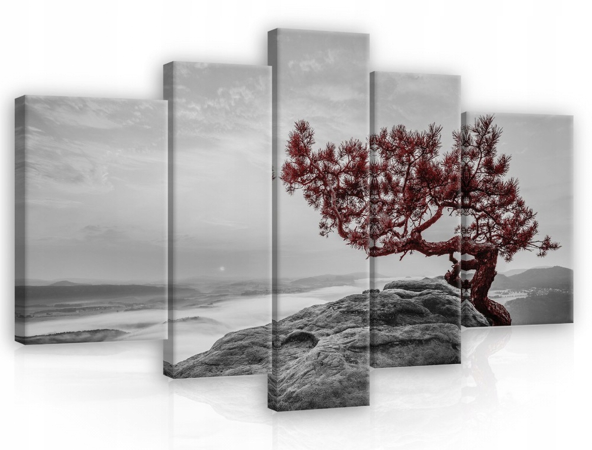 Obraz Na Plátne Canvas 170x100 Hory Pieninová Borovica