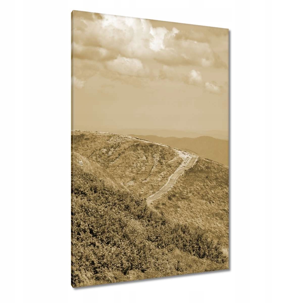 Obrazy 80x120 Polské hory Bieszczady