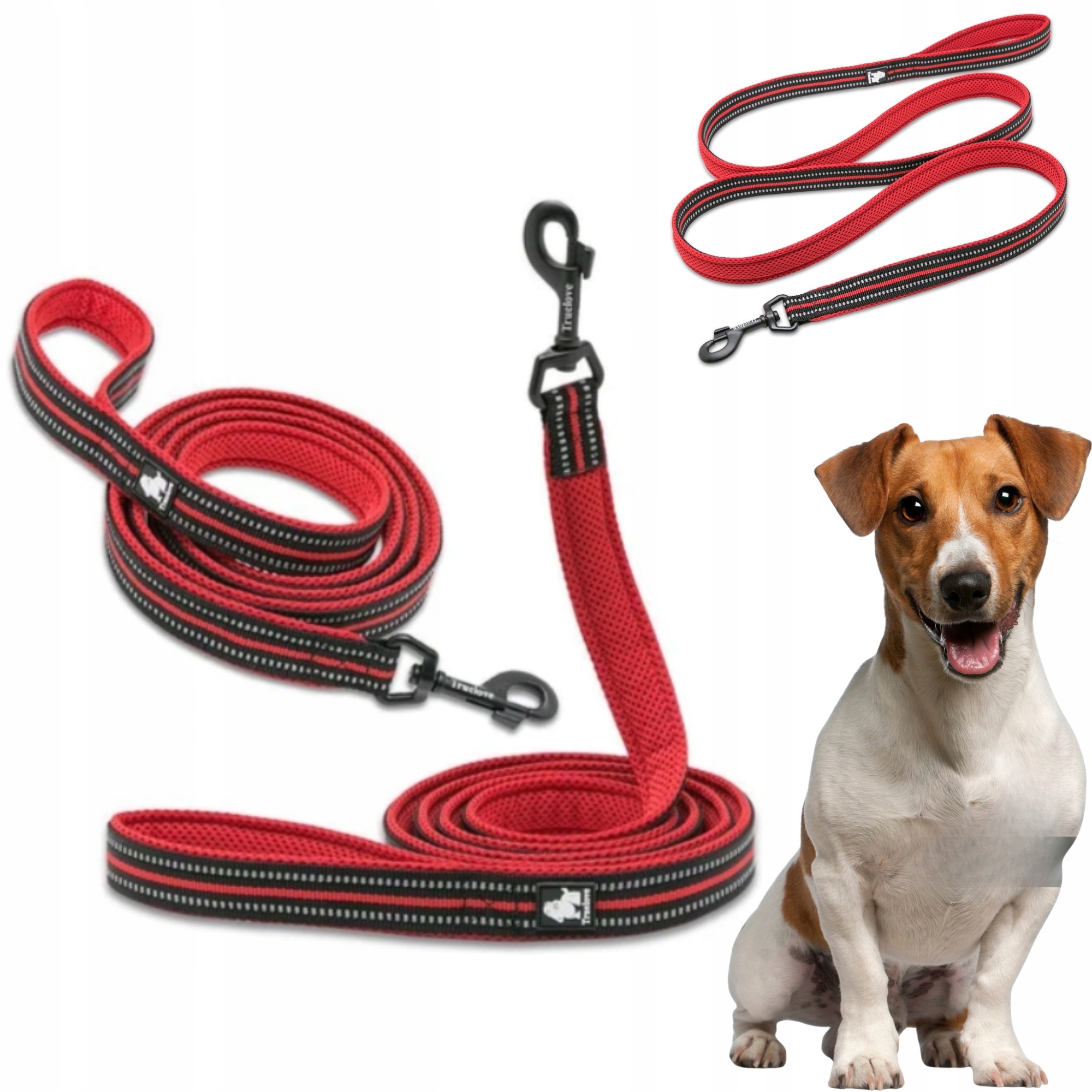 Levně Vodítko Pro Psa Reflexní Silné Truelove Active Červené 200CM Velikost S