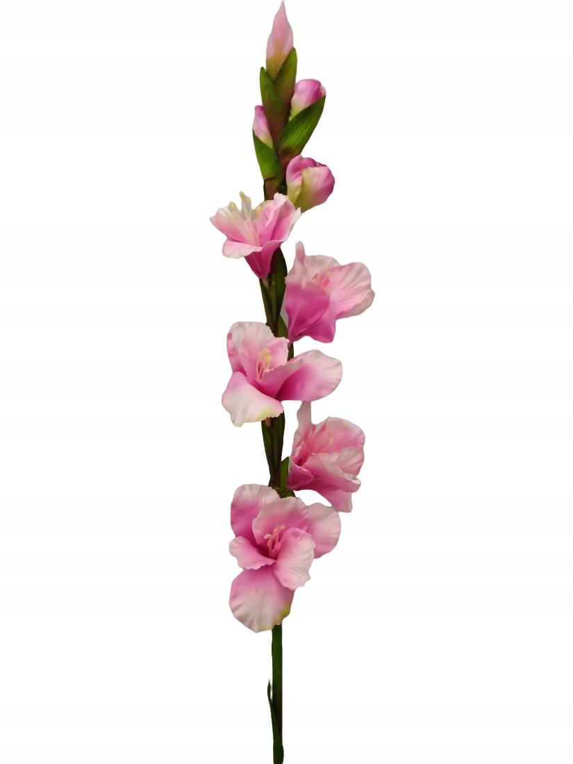 

Mieczyk kwiaty sztuczne gladiola Głęboki Róż 85 cm