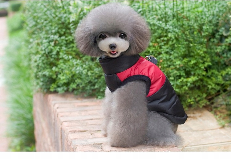 Bunda Pro Velkého Psa Se Zipem Na Zádech Hello Moon, Červená, Velikost 24