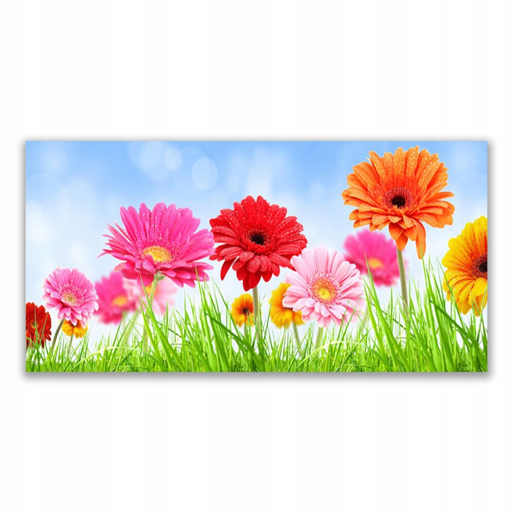 

Obraz akryl na prezent 140x70 Kwiaty Trawa Roślina