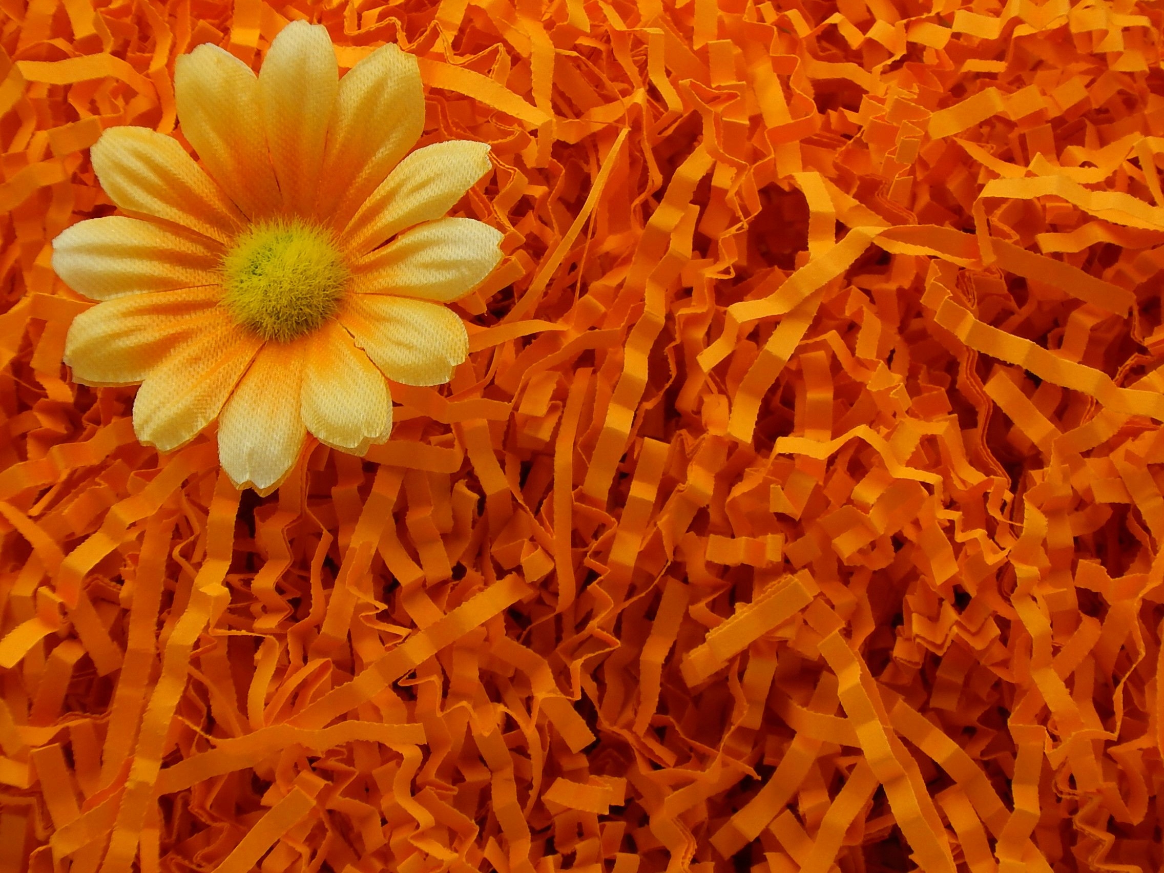 Wypełniacz Naturalny Dekoracyjny 100g Pomarańczowy