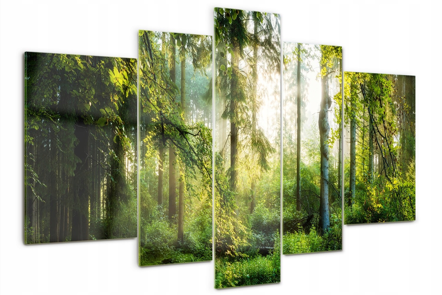 Akrylový triptychový obraz fotografie Ranní slunce a les
