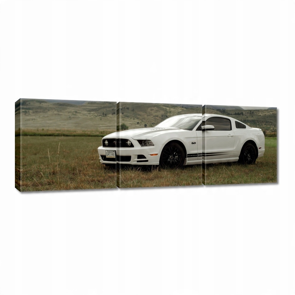 

Obrazy 60x20 Biały Ford Mustang