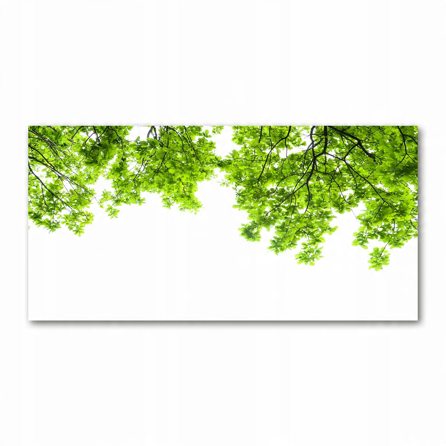 

Foto obraz akryl nowoczesny Liście dębu 120X60cm